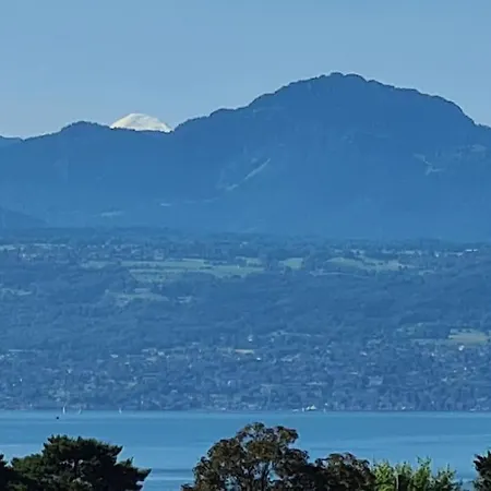 דירה Confortable A Deux Pas De L'epfl - L'unil
