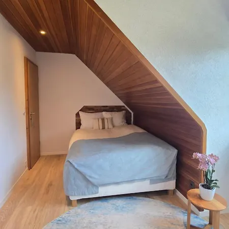Apartament 2br Confortable - Fast Wifi - Epfl - Swiss Tech - La Rts - L'unil - Parking Ecublens (Vaud)