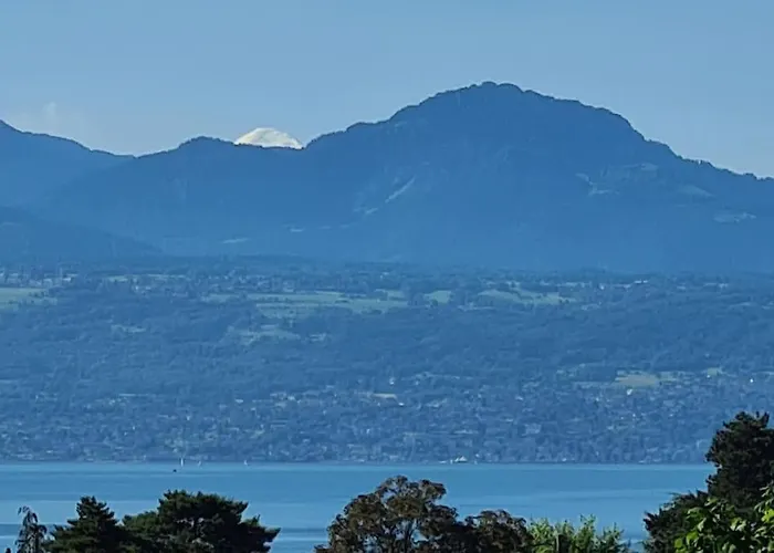Apartmán Confortable A Deux Pas De L'epfl - L'unil